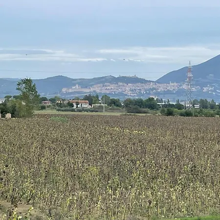 公寓 Casa Patrizia